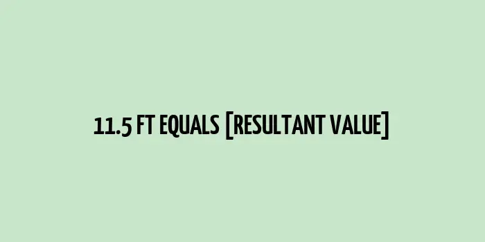 11.5 ft to cm (Feet to Centimeters)